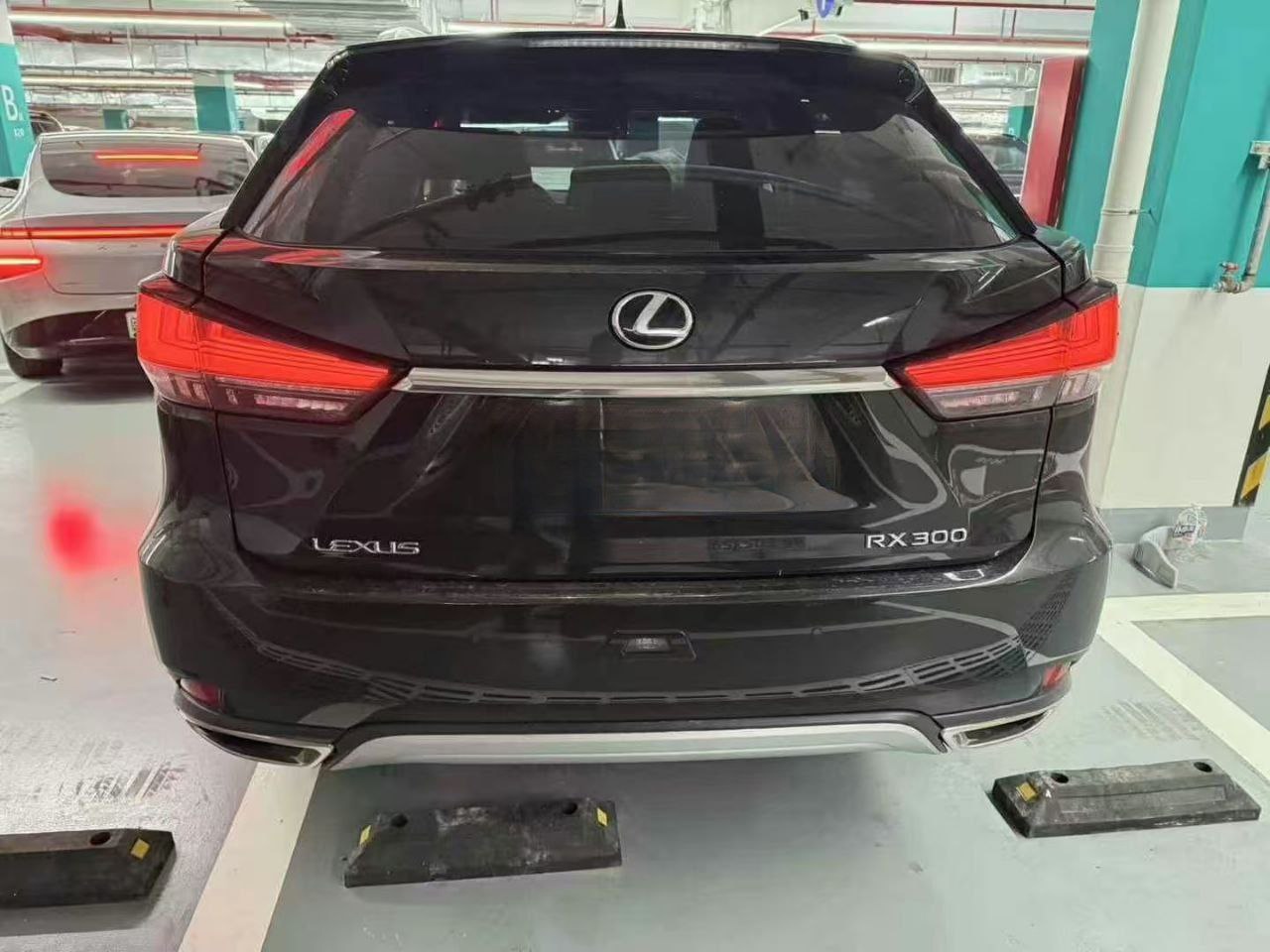 Lexus RX 300 2.0T 231 л.с. 2021 — изображение 2