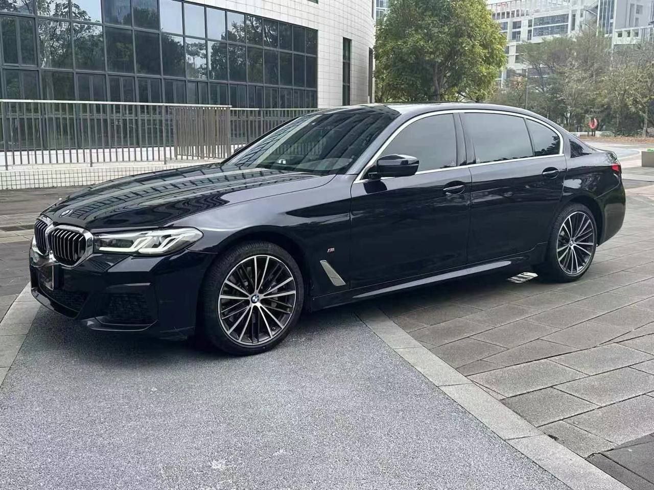BMW 530Li M Sport 2.0T 2021 — изображение 2