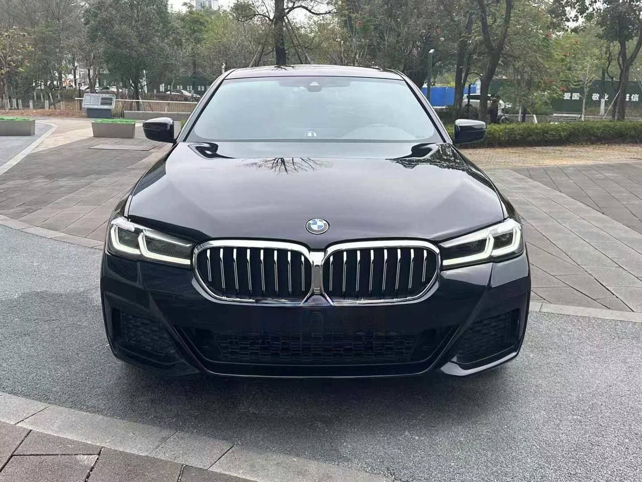 BMW 530Li M Sport 2.0T 2021 — изображение 3