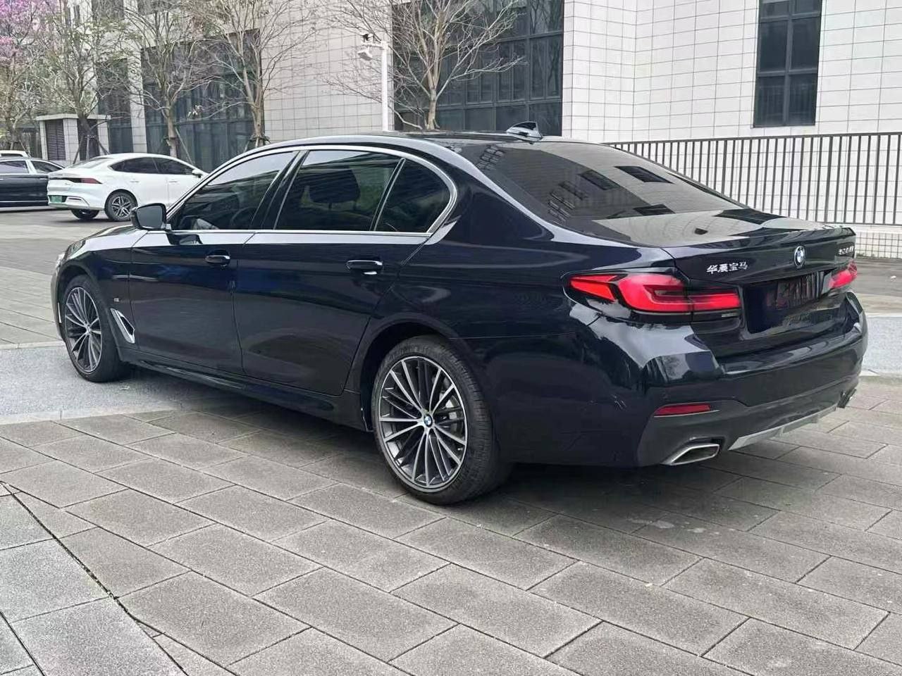 BMW 530Li M Sport 2.0T 2021 — изображение 6