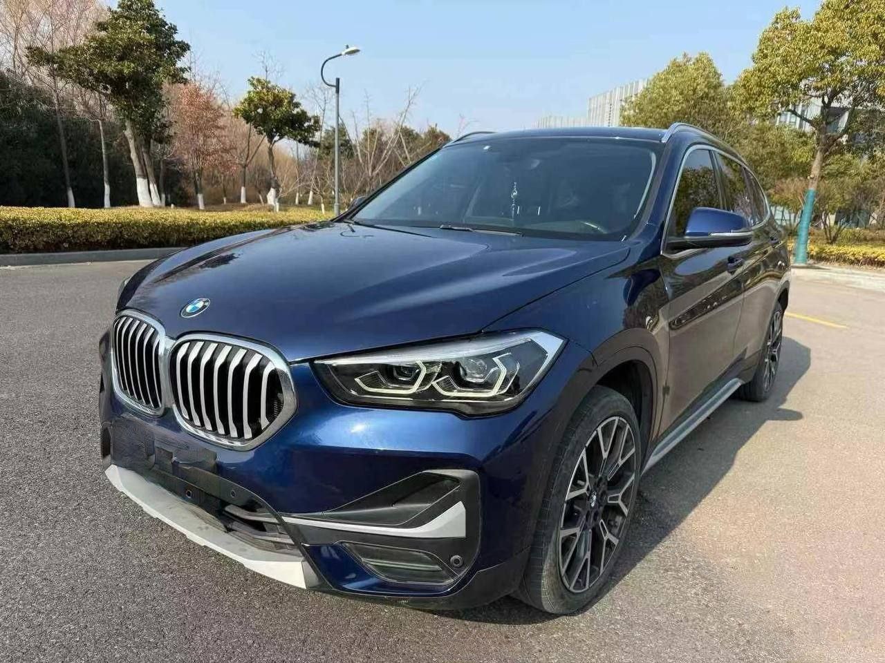 BMW X1 xDrive 25Li 2.0T 4WD 2020 — изображение 2