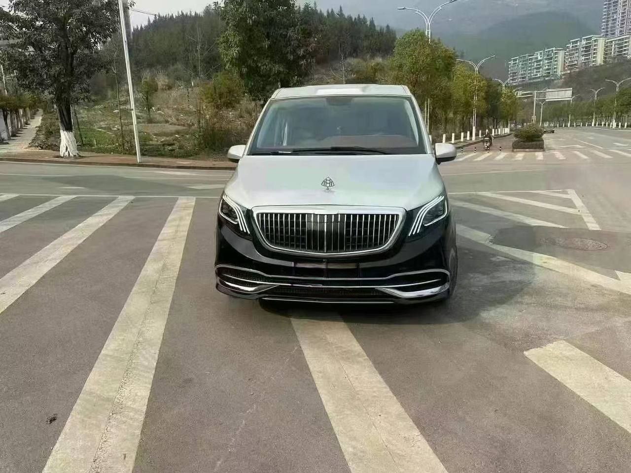 Mercedes-Benz Maybach 2.0T 2WD Luxury Van 2021 — изображение 2