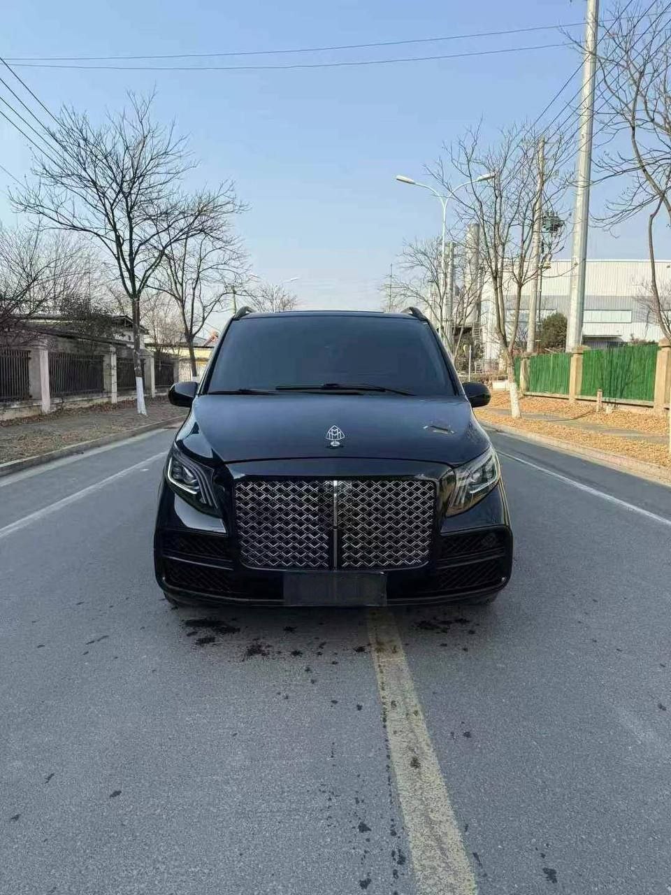 Mercedes-Benz V260 Luxury Edition 2021 — изображение 2