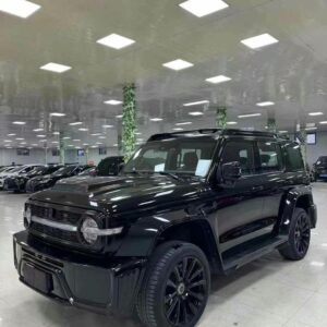 Tank 300 Cyber Knight 2021