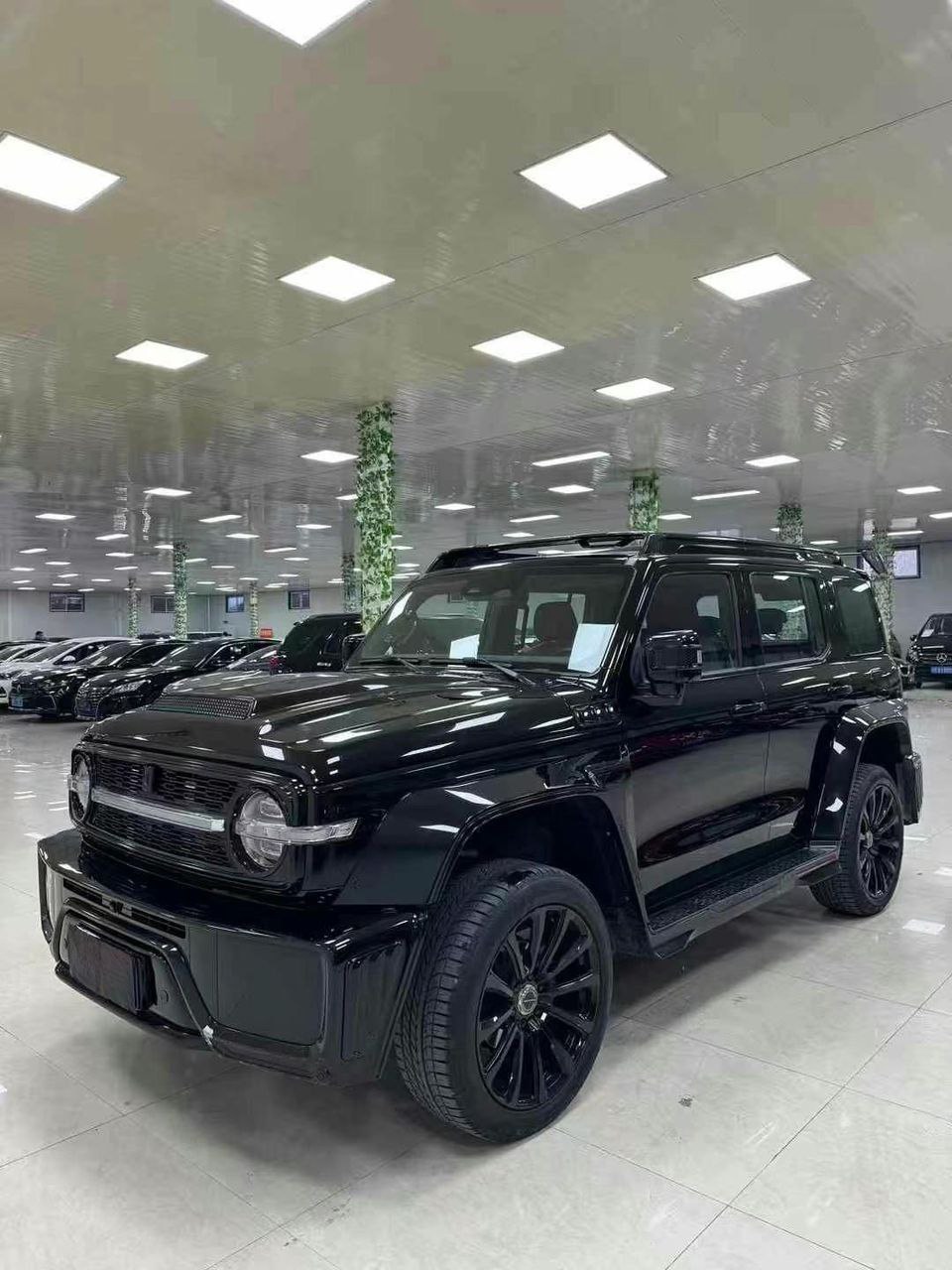 Tank 300 Cyber Knight 2021